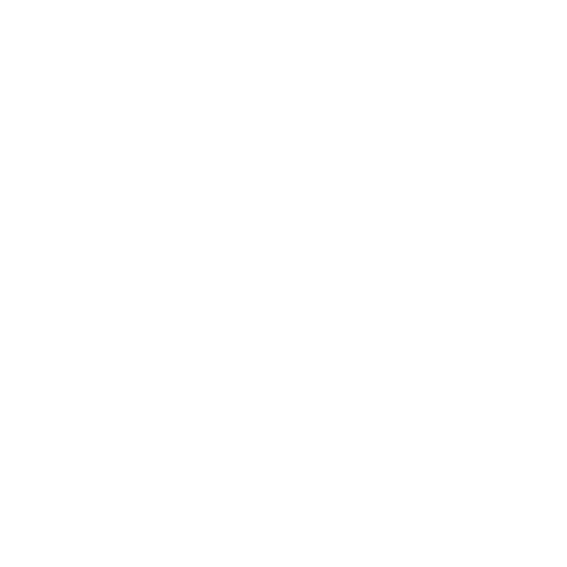 Instituto Nelson Wilians